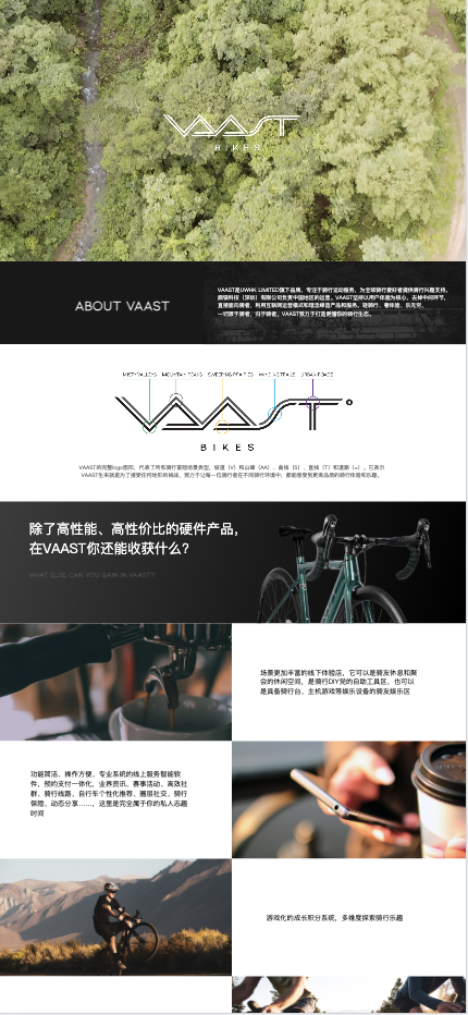 Vaast Bikes 1
